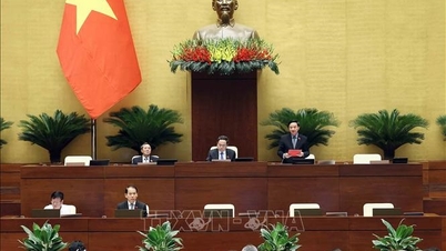 Thông cáo báo chí số 20, Kỳ họp thứ 7, Quốc hội khóa XV