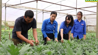Tạo môi trường để tuổi trẻ rèn luyện, cống hiến, trưởng thành