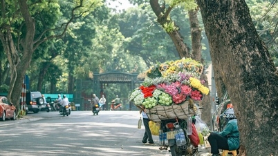 អ្នកដំណើរដែលបានធ្វើដំណើរជុំវិញពិភពលោកអស់រយៈពេល 20 ឆ្នាំ ចែករំលែកអំពីហេតុផលរបស់គាត់ក្នុងការត្រលប់ទៅហាណូយ