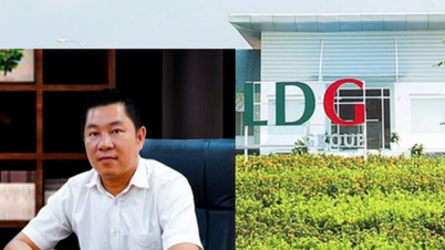 응우옌 칸 훙 씨가 구금된 후 LDG 회사는 무엇이라고 말했나요?