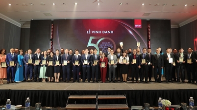 LPBank is in the top 50 effective businesses and favorite employers in 2024