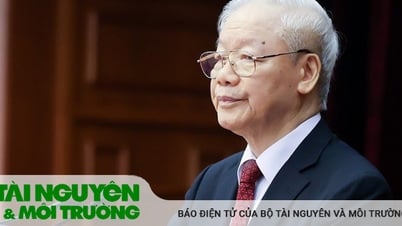 Đẩy mạnh hơn nữa công cuộc đổi mới