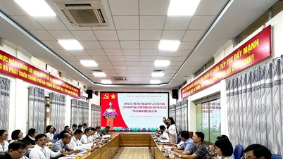 Giám sát việc bồi thường, giải phóng mặt bằng tại quận Lê Chân