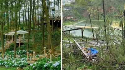 Quán cà phê giữa rừng hoa ở Hạ Long tan hoang sau bão, thiệt hại 15 tỷ đồng