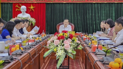 Phó Thống đốc Thường trực Đào Minh Tú làm việc về hoạt động của QTDND một số tỉnh, thành phố