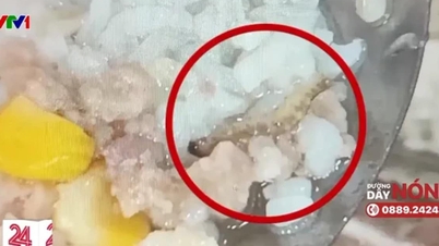 Vụ sinh viên phải ăn cơm thừa, có dị vật: Không đơn thuần là mắc lỗi
