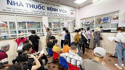 ការដេញថ្លៃគ្រឿងញៀន៖ យន្តការគោលនយោបាយពេញលេញ ប៉ុន្តែ...