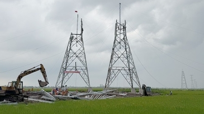 Huy động hơn 800 nhân lực có tay nghề để dựng cột, kéo dây Dự án mạch 3 Quảng Trạch