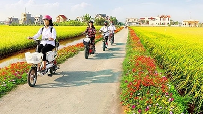 "Gỡ khó" để cuối năm 2024 hoàn thành đúng thời hạn xây dựng nông thôn mới