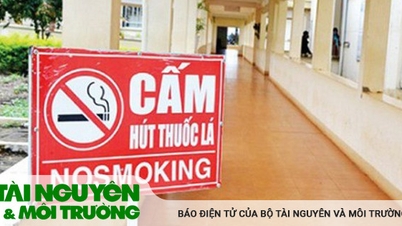 Tiêu chí xét tặng Giải thưởng Môi trường không thuốc lá