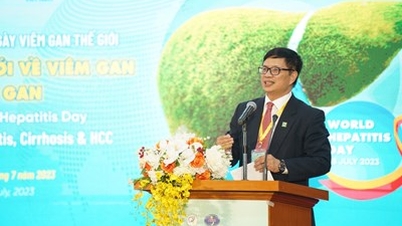 Cập nhật tiến bộ mới trong y học về Viêm gan, Xơ gan và Ung thư gan
