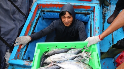 Quang Ngai gère et contrôle strictement les bateaux de pêche