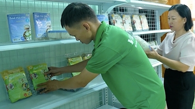 Khuyến công Bình Định hỗ trợ hiệu quả cho doanh nghiệp thiết kế bao bì, xây dựng điểm giới thiệu sản phẩm