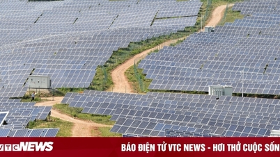 Trung Quốc 'trồng' nhà máy năng lượng mặt trời trên ruộng muối, biển và sa mạc