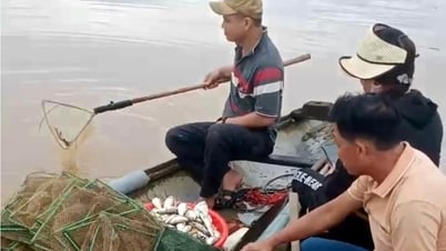 Doanh nghiệp xả thải ra thượng nguồn sông Bến Hải bị xử phạt