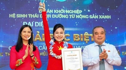 Nutritional ecosystem from green agricultural products won special prize in the 2024 Central Region Women's Entrepreneurship Competition
