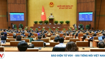 រដ្ឋសភា​បាន​យល់ព្រម​បន្ត​កម្ចី​ចំនួន​៤.០០០​ពាន់​លាន​ដុង​សម្រាប់​ក្រុមហ៊ុន Vietnam Airlines