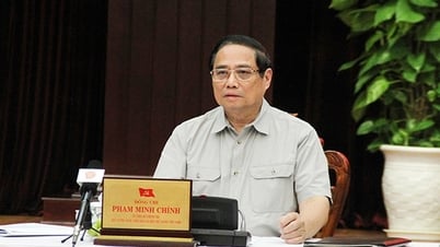 Urgent decision to establish the National Center for Supporting Innovative Startups in Da Nang