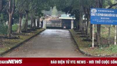 Bắc Kạn nối lại hoạt động đăng kiểm xe cơ giới