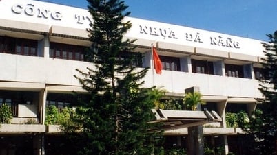 HNX công bố 94 mã chứng khoán bị cắt margin trong quý IV/2023