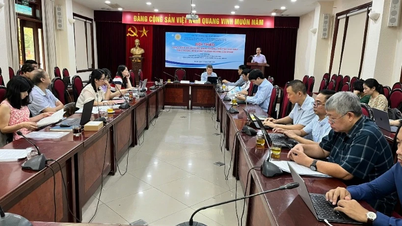 ដំណោះស្រាយជាក់ស្តែង
