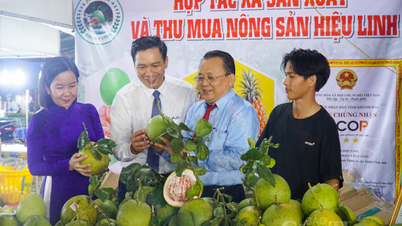 Khánh Hòa: Kết nối cung cầu, quảng bá nông sản, sản phẩm OCOP
