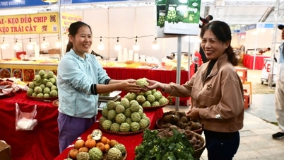 Lo más destacado del Festival de comida de Quang Ninh 2024