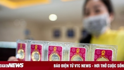 Một cá nhân nợ ngân hàng hơn 2.000 chỉ vàng gần 20 năm
