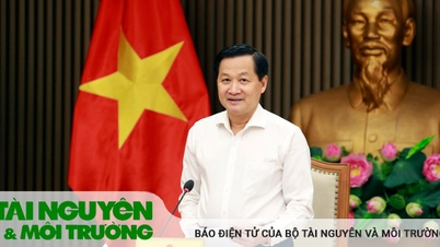 Phó Thủ tướng Lê Minh Khái làm Chủ tịch Hội đồng điều phối vùng đồng bằng sông Cửu Long