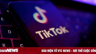 Các nhà lập pháp Mỹ đề nghị Apple, Google sẵn sàng gỡ ứng dụng TikTok