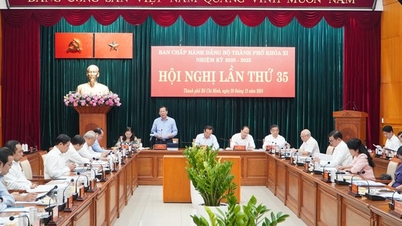 Latest draft on the plan to reorganize the apparatus of Ho Chi Minh City