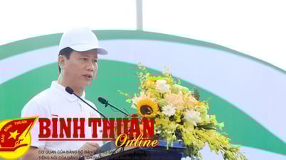 បើគ្មានសកម្មភាពទេ នៅឆ្នាំ 2050 នឹងមានប្លាស្ទិកច្រើនជាងត្រី។