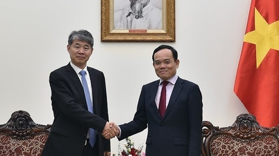 Việt Nam đề nghị IAEA hỗ trợ đào tạo nhân lực năng lượng nguyên tử
