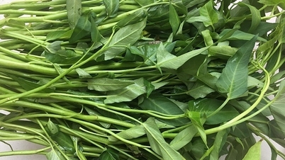 បន្លែពីរប្រភេទជួយឱ្យត្រជាក់ និងបន្សាបជាតិពុល