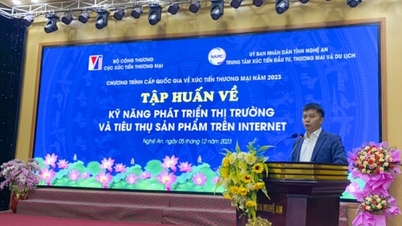 Nghệ An: Tập huấn kỹ năng phát triển thị trường và tiêu thụ sản phẩm trên internet