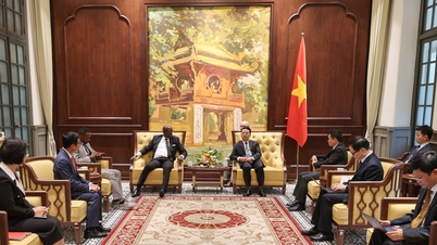 Vietnam is ready to share telecommunications development experience with Burundi.