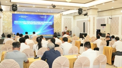 Thừa Thiên Huế: Phát triển nguồn nhân lực cho thương mại điện tử