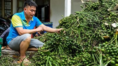 Việt Nam nhập khẩu cau vọt tăng 324%