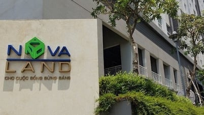 ភាគហ៊ុន Novaland បានធ្លាក់ចុះជាប្រវត្តិសាស្ត្រ