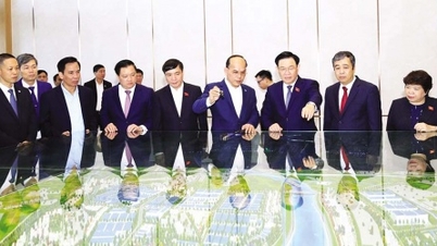 Nhận diện tiềm năng, phát huy lợi thế, đẩy mạnh thu hút đầu tư