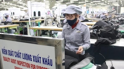 Đà Nẵng thí điểm lập khu thương mại tự do, khác gì khu chế xuất?