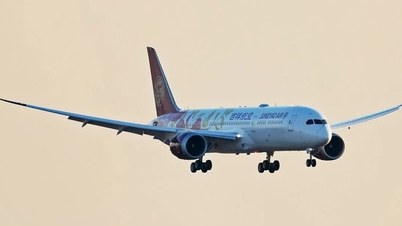 泣き止まない1歳の女の子が飛行機のトイレに閉じ込められる