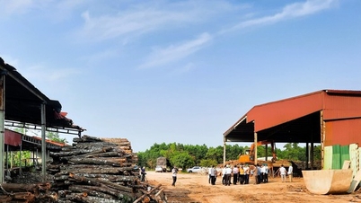 ការ​អនុម័ត​គោល​នយោបាយ​ផ្លាស់​ប្តូរ​រោងចក្រ​ក្រុមហ៊ុន​ព្រៃឈើ​ដើម្បី​ឈូស​ឆាយ​ផ្លូវ​ល្បឿនលឿន Van Ninh