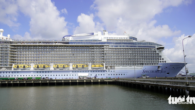 Super cruise ship carrying more than 4,000 international passengers docks at Ba Ria - Vung Tau port