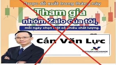 증권거래소와 경제전문가를 사칭해 투자교육을 실시