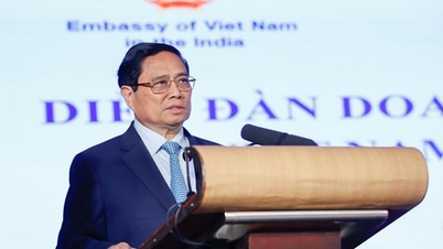 có 5 yếu tố quyết định hợp tác Việt Nam-Ấn Độ