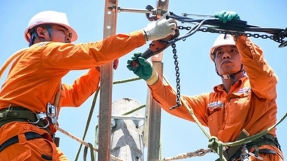 Lập phương án điều chỉnh giá điện; xử lý 'tín dụng đen'