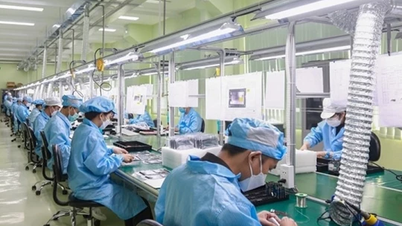 Nâng tầm Việt Nam trong chuỗi cung ứng bán dẫn toàn cầu