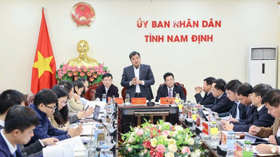 Bộ NN&PTNT làm việc với tỉnh Nam Định về xây dựng nông thôn mới kiểu mẫu
