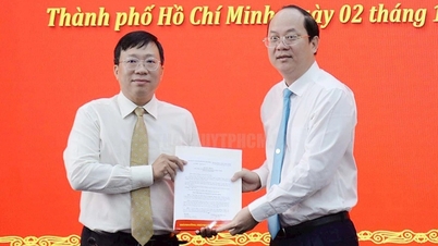 Director of the Department of Planning and Architecture of Ho Chi Minh City becomes Secretary of the Binh Chanh District Party Committee